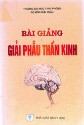 Bài giảng giải phẫu thần kinh