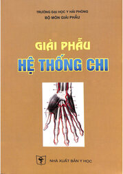 Giải phẫu hệ thống chi /