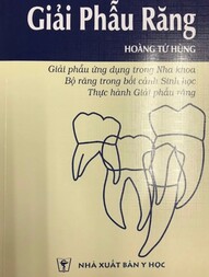 Giải phẫu răng