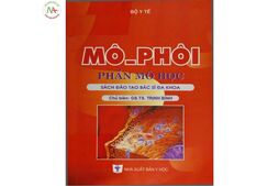 Mô phôi phần mô học